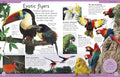 Another look inside First Animal Encyclopedia (DK) (chapter on exotic birds) - MPHOnline.com