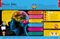 All About Your Brain - MPHOnline.com