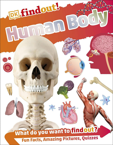 DKfindout! Human Body - MPHOnline.com