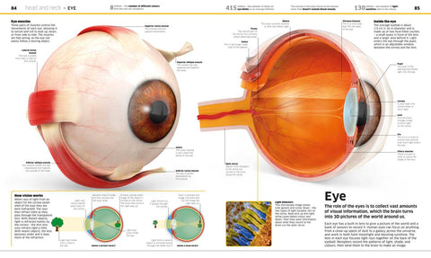 Knowledge Encyclopedia Human Body! - MPHOnline.com