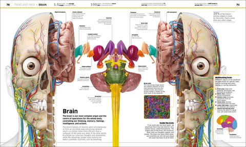 Knowledge Encyclopedia Human Body! - MPHOnline.com