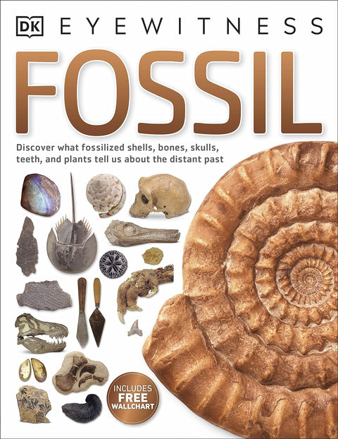 DK (Eyewitness)Fossil - MPHOnline.com