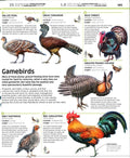 Knowledge Encyclopedia Animal - MPHOnline.com