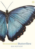 Sensational Butterflies - MPHOnline.com