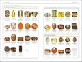 A look inside DK HANDBOOKS: GEMSTONES (Yellow to Brown Gemstones) - MPHOnline.com