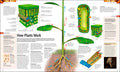 Science: The Definitive Visual Guide - MPHOnline.com