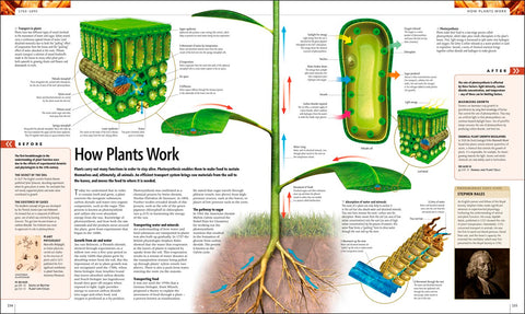 Science: The Definitive Visual Guide - MPHOnline.com