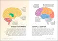 Simply The Brain - MPHOnline.com