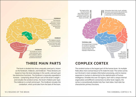 Simply The Brain - MPHOnline.com