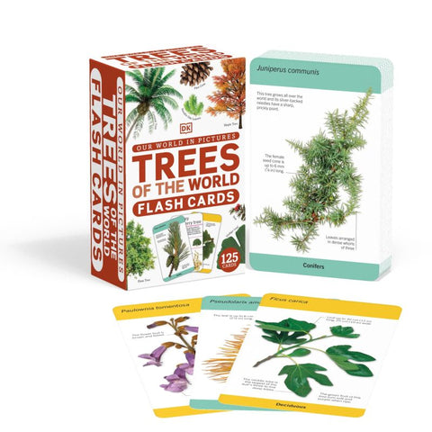 Our World in Pictures: Trees Flash Cards - MPHOnline.com