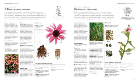 Encyclopedia of Herbal Medicine (New Edition)- 560 Herbs and Remedies for Common Ailments - MPHOnline.com