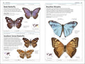 Butterflies And Moths - MPHOnline.com