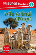 Animal Groups (DK Super Readers Level 3) - MPHOnline.com