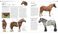 The Horse Encyclopedia - MPHOnline.com