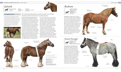 The Horse Encyclopedia - MPHOnline.com