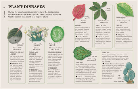 How Not to Kill Your Houseplant: Survival Tips for the Horticulturally Challenged (Updated Edition) - MPHOnline.com