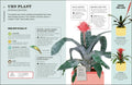 How Not to Kill Your Houseplant: Survival Tips for the Horticulturally Challenged (Updated Edition) - MPHOnline.com