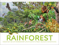 Rainforest: Discover the Extraordinary Life in Earth's Most Delicate Ecosystems - MPHOnline.com