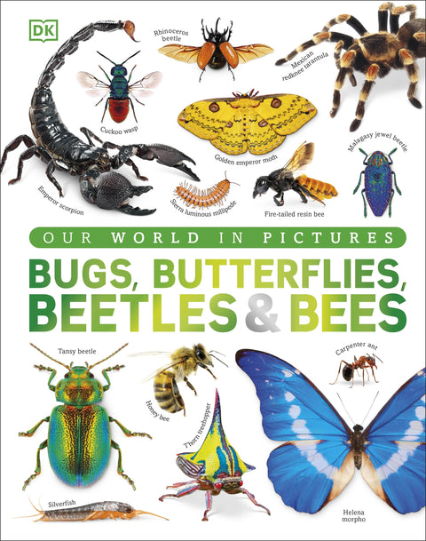 Our World in Pictures: Bugs, Butterflies, Beetles and Bees (HC)