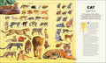 DK Animals: A Visual Compendium - MPHOnline.com