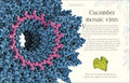 An Anthology of Micro Life - MPHOnline.com