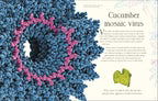 An Anthology of Micro Life - MPHOnline.com