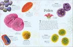 An Anthology of Micro Life - MPHOnline.com