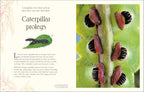An Anthology of Micro Life - MPHOnline.com