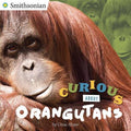 CURIOUS ABOUT ORANGUTANS - MPHOnline.com