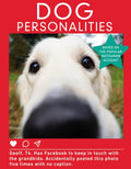 Dog Personalities - MPHOnline.com