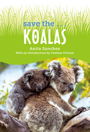 Save the... Koalas - MPHOnline.com