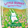Little Bunny, Spring Is Here! (Book #01) - MPHOnline.com