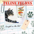 Feline Felons - MPHOnline.com