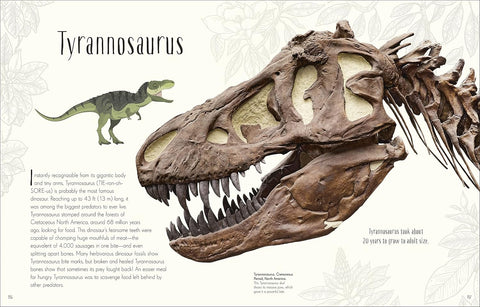 Another look inside DK Children's Anthologies: Dinosaurs and Other Prehistoric Life (chapter on the tyrannosaurus) - MPHOnline.com