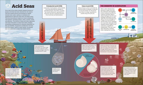 Science of Our Changing Planet: From Global Warming to Sustainable Development - MPHOnline.com