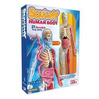 Squishy Human Body : 21 Removable Body Parts! - MPHOnline.com