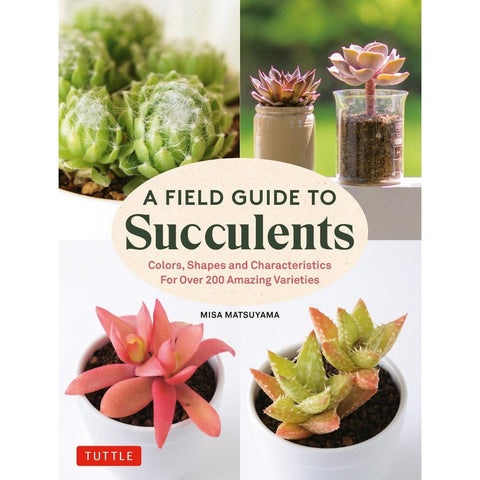 A Field Guide to Succulents: Colors, Shapes and Characteristics for Over 200 Amazing Varieties - MPHOnline.com