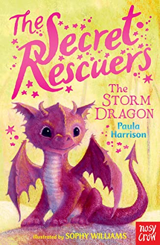 Secret Rescuers #01 Storm Dragon - MPHOnline.com