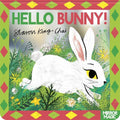 Hello Bunny! (A Mirror Search & Find) - MPHOnline.com