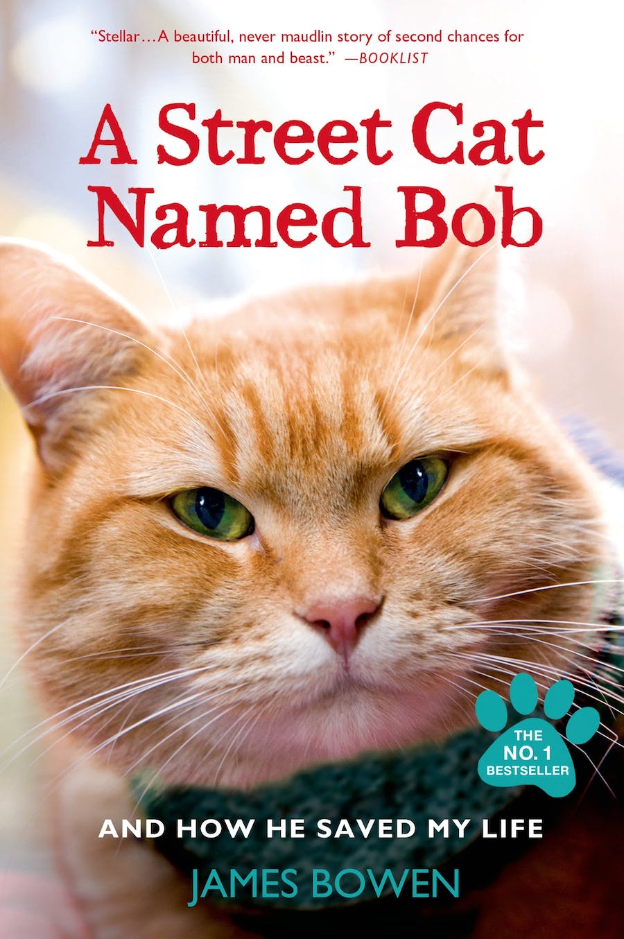 Cover of "A Street Cat Named Bob" by James Bowen