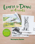 Learn to Draw in 4 Weeks - MPHOnline.com