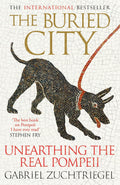 The Buried City Unearthing the Real Pompeii - MPHOnline.com