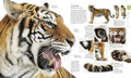 The Natural History Book: The Ultimate Visual Guide to Everything on Earth - MPHOnline.com