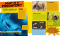 National Geographic Kids: Everything Predators: All the Photos, Facts, and Fun You Can Sink Your Teeth into - MPHOnline.com