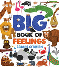 Big Book of Feelings (HC) - MPHOnline.com