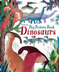 USBORNE BIG PICTURE BOOK DINOSAURS - MPHOnline.com