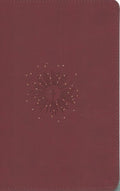 Nlt Personal Size Gp Bible (Rl; Cranberry) - MPHOnline.com