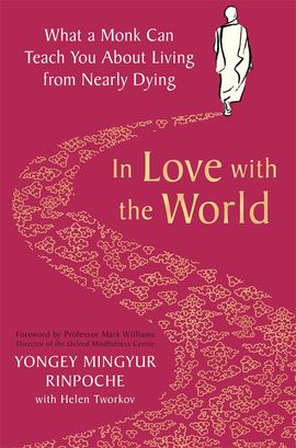 In Love with the World :  What a Monk Can Teach You About Living from Nearly Dying - MPHOnline.com