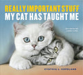 Really Important Stuff My Cat Has Taught Me - MPHOnline.com
