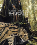 A Walk Through Rainforest - MPHOnline.com
